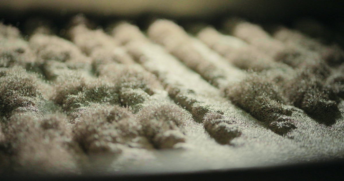A close-up of chia fiber powder in soft ridges