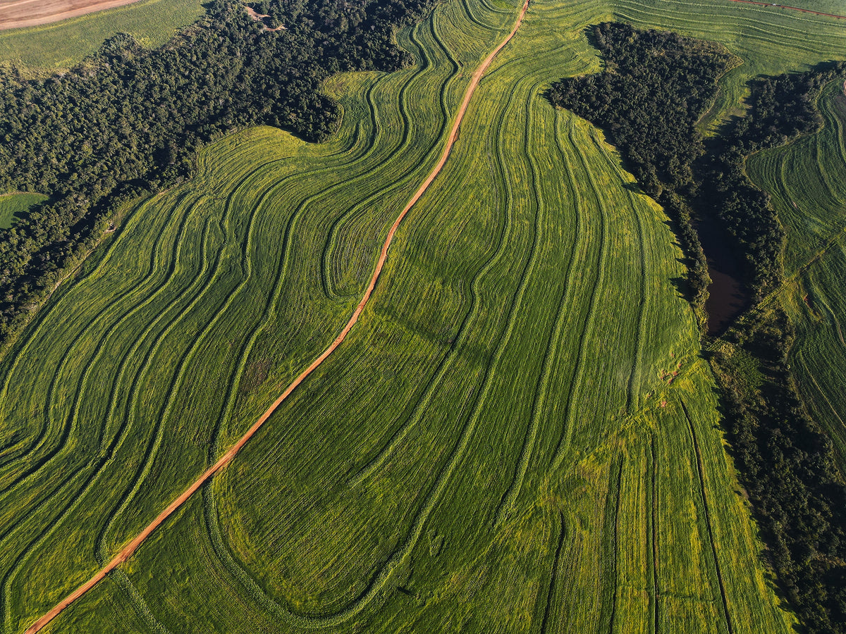 Aerial view of farmland in Paraguay