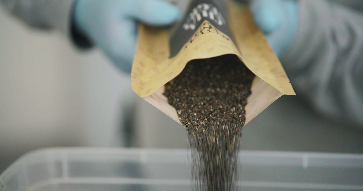 Chia seeds pour from a paper bag held in gloved hands